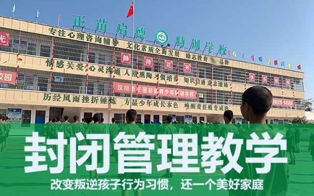 青春期叛逆的孩子教育學(xué)校(叛逆少年的教育